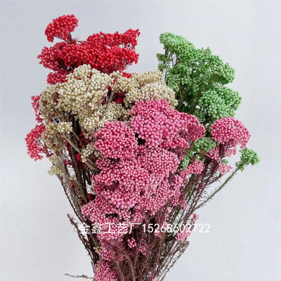 Home Decoration Dried Preserved Flowers Dream Of Grass  Bouquest For Home And Wedding Decoration Real Natural Floral