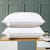 New Washed Cotton Feather Fabric Pillow Interior Wholesale Comfortable Single Pillow Pillow Inner Factory Direct Sales