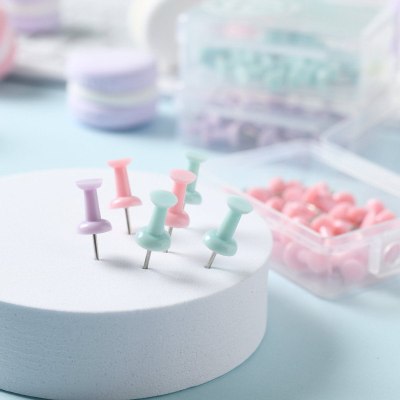 Cross-Border Supply Macaron Color Boxed Push Pin Simple Creative Large and Small Plastic Pushpin Office Supplies
