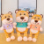 Tiger Doll Dressing Tiger Soft Children Doll Cute Tiger Gift Plush Toy