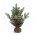 Christmas Bonsai Creative Pine Needle Mini Decoration Scene Decorative Ornaments Ins Festival Gift Factory Direct Supply