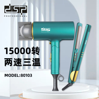 DSP/DSP Household Hair Dryer Plywood Set Straight Hair Roll Hair Splint Hair Dryer 80103