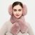 Winter Internet Celebrity Earmuffs Women's Cute Plush Warm Earmuffs Winter Ear Earmuffs Warm Back Wear Fur