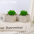 Shape Aromatherapy Candle Plant Pot Succulent Mini Cactus Candle Smokeless Candles Home Plant Stone Candle