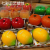 3 Apples Fruit Candle Set Creative Fragrance Fruit Candle Lemon Orange Christmas Decorations Ornaments