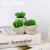 Smoke-Free Creative Artistic Taper and Candle Confession Wedding Cactus Candle Succulent Candle Cement Base Factory Wholesale