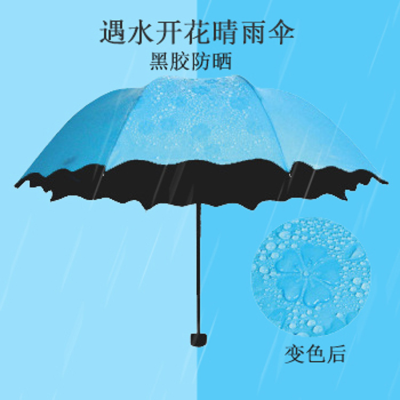 Travel Two-Person Skeleton Reinforced Sun Umbrella with a Set of Sun Umbrella Female Dual-Use Rain-Proof Rain-Proof Flowering