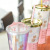 Flat Lid Double Layer Pineapple Bronzing Slide Cover Cup with Straw Creative Fruit Drink Cup Transparent Plastic Cup