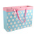 Extra Large Gift Bag in Stock Wholesale Handbag Paper Bag Clothing Packaging Bag Manufacturers Can Order Handbag Gift Box