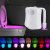 Color Human Body Induction Toilet Light PP8 Color 16 Color ABS Hanging Dimmable Multifunctional Small Night Lamp Cross-Border Direct Supply