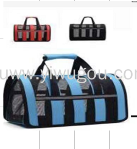 Portable PET Backpack for Going out Handbag