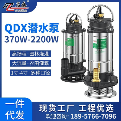 Qdx Stainless Steel Submersible Pump Household Small Water Pump Pumper Stainless Steel Sewage Pump Mud Pump Sewage Pump