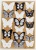 18 PCs Black and White, Colored Glitter Three-Dimensional Butterfly Wall Sticker Living Room Bedroom Wall Decoration Stickers Wall Layout Creative
