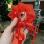 Korean Floral Pearl Ribbon Online Influencer Hair Ring Bow Headdress Hair Band Female Korean Head Rope Simple Hair Ring