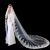 Wide Big Veil Long European and American Trailing Wedding Dress Accessories High-End Lace Applique Factory Direct Sales