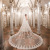 Korean Style Lace Lace Large Tailing Veil Veil Super Long Bridal Wedding Trip Shoot Wedding Dress Veil Headdress Fairy