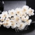 Hot Sale at AliExpress Lace Artificial Flower Rhinestone Bridal Hair Comb Handmade Pearl Headdress Wish Hot Sale
