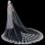 Wide Big Veil Long European and American Trailing Wedding Dress Accessories High-End Lace Applique Factory Direct Sales