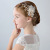 Children's Dress Accessories Flower Hair Accessories Headband Girls Performance Hair Band Barrettes