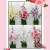 Artificial Flower High Branch Rose Lily Magnolia Phalaenopsis Fake Flower Silk Flower Multi-Color Decoration Store Living Room Interior Ornaments