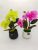 New Artificial Flower Ceramic Basin Flower Arrangement and Floriculture Decoration Bonsai Home Greenery Living Room Furnishings Potted Plant