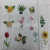 Children's Toy Stickers Hand Account Stickers Waterproof Flowers and Plants Hand Account Stickers Cute Stickers Card Creative Journal Phone Stickers