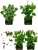 Simulation Plant Scindapsus Aureus Bonsai Fake Green Plant Indoor and Outdoor Floor-Standing Decorations Bonsai Emulational Flower and Grass Artificial Epipremnum Aureum Furnishings