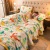 Factory Wholesale Coral Fleece Blanket Flannel Gift Blanket Nap Blanket Winter Cover Blanket Single Double Bed Sheet Quilt