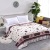 Factory Price Wholesale Flannel Blanket Coral Fleece Bed Sheet Yoga Cover Blanket Flannel Gift Air Conditioning Blanket