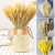 100pcs Dried Wheats Bunch Symbolize the Prosperity New Life Living Room Garden Wedding Hotel Decoration Hot