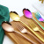 304 Thick Stainless Steel Spoon Fork Korean Spoon Long Spoon Student Meal Spoon Titanium-Plated Tableware Wholesale
