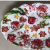 Y192 New Plastic Christmas Plate Fruit Plate Dim Sum Plate Fruit Plate Plastic Tray Cover Plate Fashion Fruit Plate 2