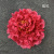 Simulation 18cm Big Peony Head Peony Fake Flower Wedding Home Furnishing Flower Wall Flower Arrangement Large Raw Silk Flower Wholesale