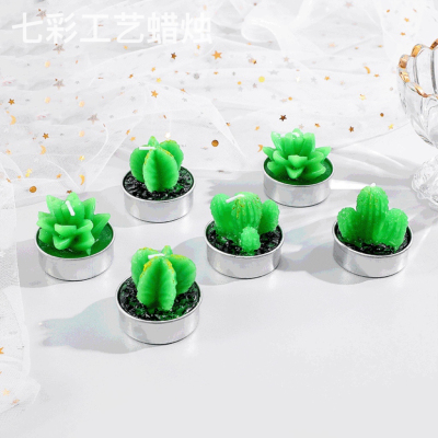 Shape Aromatherapy Candle Plant Pot Succulent Mini Cactus Candle Smokeless Candles Home Plant Stone Candle