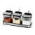 Direct Supply 304 Stainless Steel Spice Jar Three-Piece Set Creative Kitchen Utensils Glass Condiment Dispenser Set