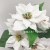 5/7-branch Artificial Poinsettia Flower Home Office Decoration Wedding Christmas Flower Supplies Party Event Floral Deco