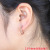 Ear Button Earrings 2022 New Titanium Steel Earrings Trendy Wild Ear Ring Street Shooting Travel Ear Rings Wholesale
