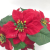 Artificial Poinsettia Flower Big Red Flowers Head Bouquet Red Poinsettia Bushes Bouquets Christmas Tree Ornaments