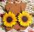 European And American Popular Amazon Independent Station 3D Stereo Wooden Sunflower Pattern Earrings Wholesale