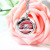 M Perfume Necklace Aromatherapy Creative Necklace Melody Cinnamoroll Babycinnamoroll Pendant TikTok Same Style in Stock