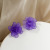 Style Spring and Summer Flower Earrings Internet Celebrity Hot Sale Super Fairy Frosted Transparent Ear Studs Earrings
