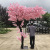 Artificial Cherry Tree Emulational Peach Tree Artificial Living Room Fake Flower Fake Trees Imitative Tree New Year Decoration Large Wishing Tree