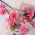 Artificial Peach Blossom Branch Fake Flower Single Dried Flower Cherry Blossom Living Room Decoration Branch Plum Blossom Silk Flower Artificial Tree Landscape Decoration