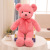 Super Soft Ten-Color Bear Color Ribbon Teddy Bear Plush Toy Doll Doll for Babies Birthday Gift for Girl Friend