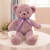 Super Soft Ten-Color Bear Color Ribbon Teddy Bear Plush Toy Doll Doll for Babies Birthday Gift for Girl Friend