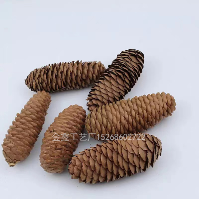 Natural Dried Flowers Decorative Pinecone,Mini Pine Flower,Real Dry Flower DIY For Christmas Ornaments,Wedding Decoratio