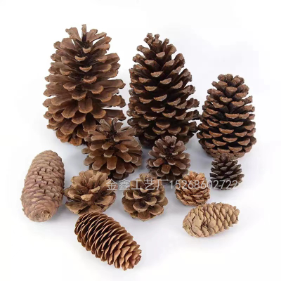 Natural Dried Plants Pine Cone Acorn Artificial Flower For DIY ChristmasScrapbooking Garland Wreath Wedding Decoration