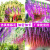 Wisteria Flower Artificial Flower Rattan Plastic Fake Flower Vine Ceiling Decorative Flower Vine Plant Wedding Hanging Outdoor Tofu Pudding