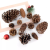 Natural Dried Plants Pine Cone Acorn Artificial Flower For DIY ChristmasScrapbooking Garland Wreath Wedding Decoration