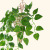 Wholesale Simulation Leaf Wall Hanging Flower Small Epipremnum Aureum Artificial Green Leaf Wall Hanging Plant Wall Hanging Rattan Wall Hanging Flower Green Dill and Bracketplant Simulation